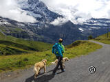 Kaya und Neo im Berneroberland