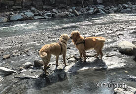 Kaya und Neo als Reporter