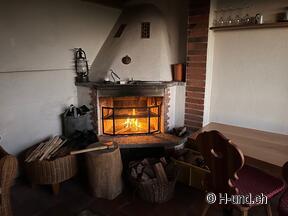 H-und.ch:Experience Switzerland with your dog