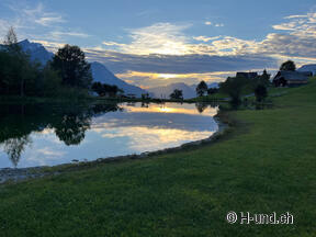 H-und.ch:Experience Switzerland with your dog