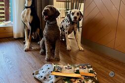 Reka Feriendorf Hasliberg