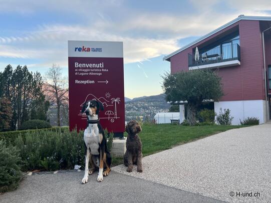 Herzlich willkommen im Reka Feriendorf Lugano Albonago