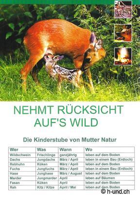 H-und.ch: Schweiz mit Hund erleben