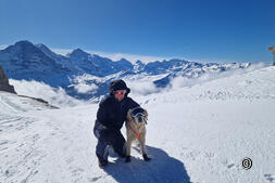 Dog goggles-yes or no?