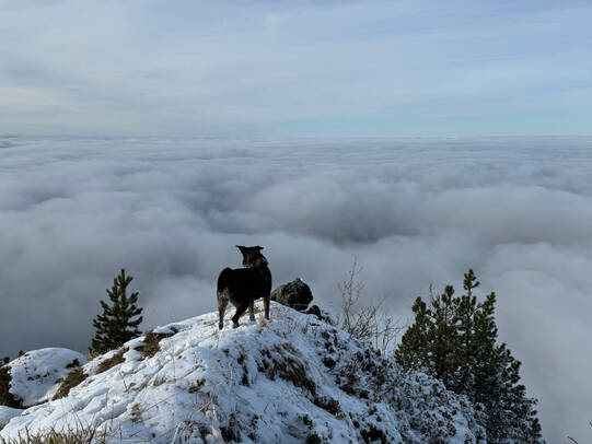 01. Alma, Roggenstock SZ / Instagram @alma_guerrera_161