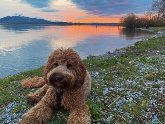 07. Nita, Zugersee ZG / Instagram @nitazaara