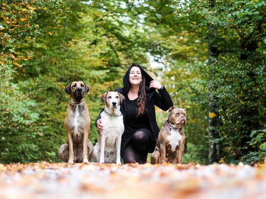 14. Aria, Alma, Klaudija und Lottie, Rapperswil SG / Instagram @klaudijashundewelt