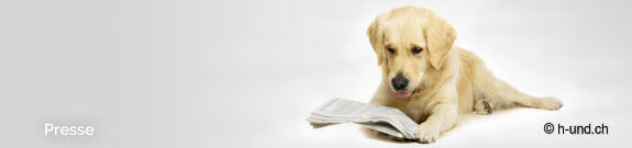 Presse