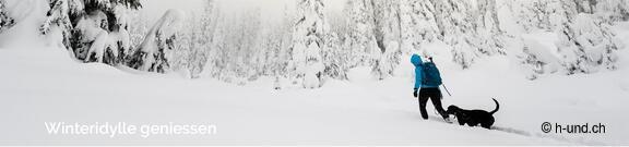 Schnee Wanderungen