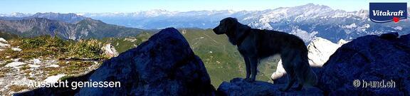 Wanderungen