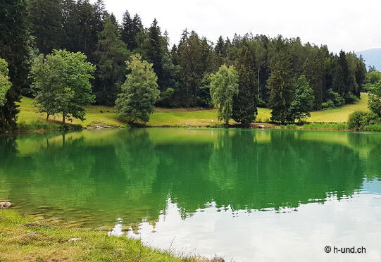 Canovasee