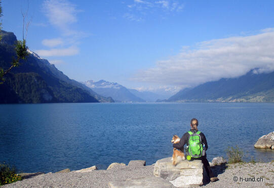 Brienz-Interlaken