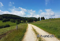 Basel pilgrimage route with dog