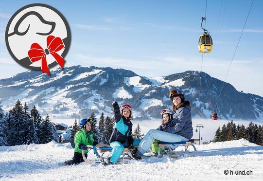 Sattel-Hochstuckli AG