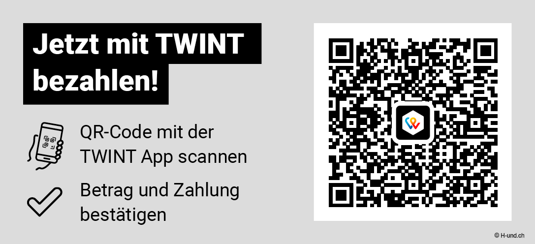 Die Schweiz mit Hund erleben