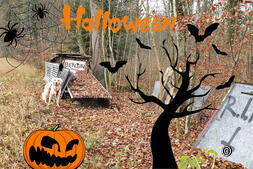 Lost places: Discover Switzerland with a dog