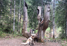 Nemesis with Kaya on the goblin trail.