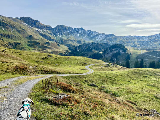 Käserstatt - Mägisalp - Käserstatt